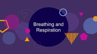 Breathing and
Respiration
 