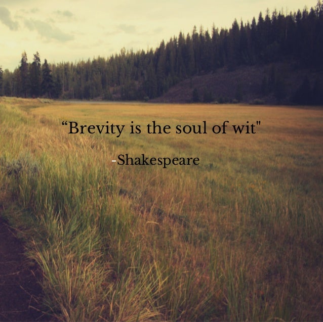 Brevity is the soul of wit essay