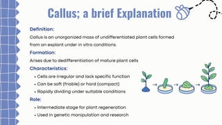 Guide to Plant Tissue Culture and Callus Induction Techniques | PDF