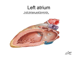 Copy of cardio vascular system | PPT