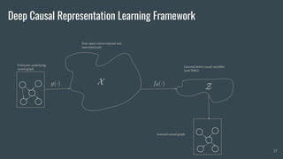 A Talk on Deep Causal Representation Learning | PDF