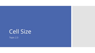 Copy of Cell Size Topc 2.3 Used for Labs | PPTX