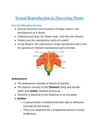 Sexual Reproduction in Flowering Plants
Pre-Fertilisation Events
● Several hormonal and structural changes result in the
development of a flower.
● Inflorescences bear the flower buds, and then the flowers.
● Flowers are the reproductive parts of a plant.
● In the flowers, the androecium (male reproductive part) and
the gynoecium (female reproductive part) develop.
Androecium
● The androecium consists of whorls of stamen.
● The stamen consists of the filament (long and slender
stalk) and anther (bilobed structure).
● Filament is attached to the thalamus or to the petal.
● Anther:
○ A typical anther is bilobed and each lobe is dithecous
(consists of two theca).
○ Theca are separated by a longitudinal groove running
lengthwise.
 