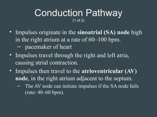 Copy of Chapter 4 Slidedeck PowerPoint that covers the Cardiovascular ...