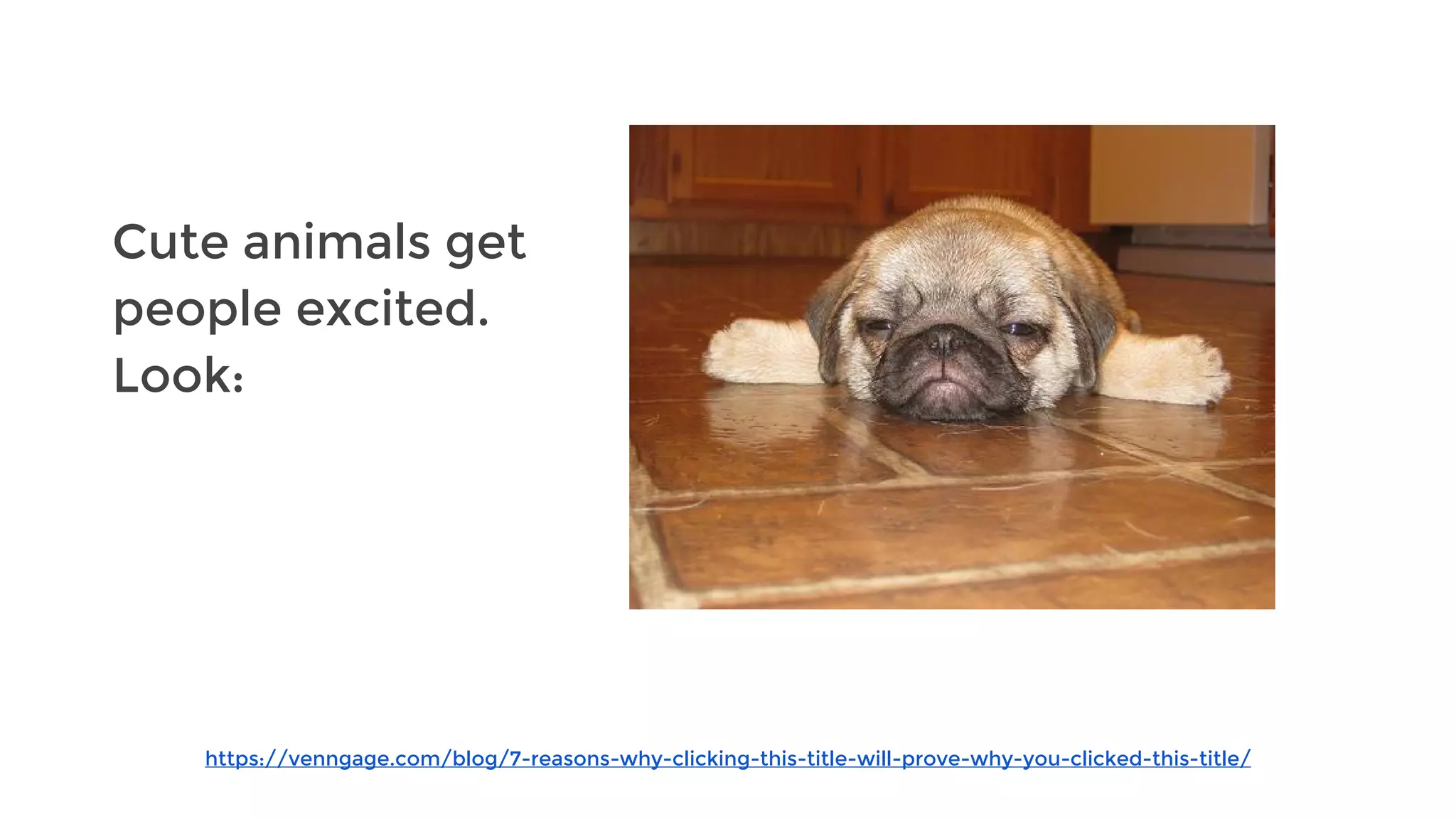 https://venngage.com/blog/7-reasons-why-clicking-this-title-will-prove-why-you-clicked-this-title/
Cute animals get
people excited.
Look:
 