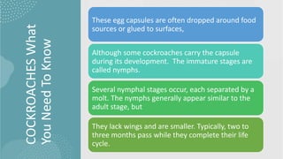Cockroaches and What You Need to Know 1 (1).pptx.pdf