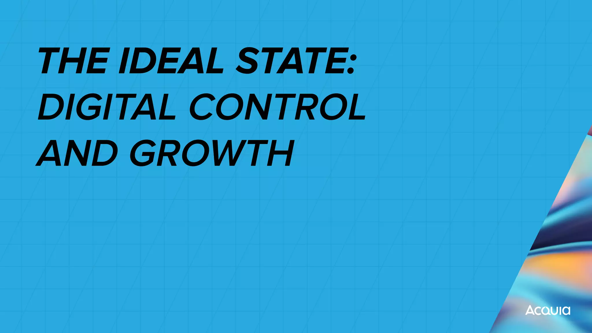 THE IDEAL STATE:
DIGITAL CONTROL
AND GROWTH
 