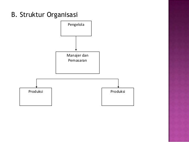 Struktur Organisasi Usaha Pisang Nugget Struktur Organisasi Usaha Pisang Nugget