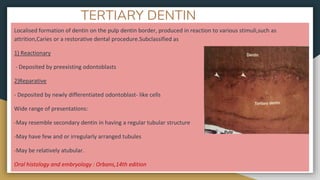 Dentin | PPTX