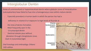 Dentin | PPTX