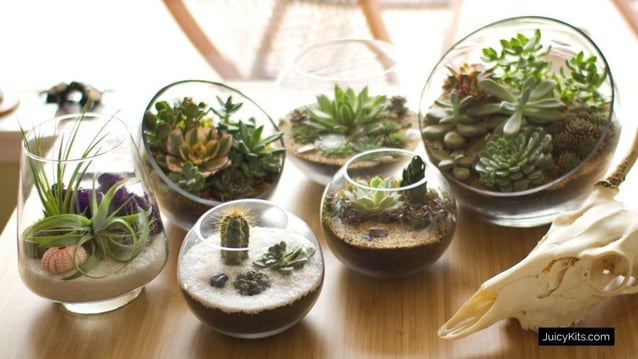 Semi-modular Interface Design | PPT