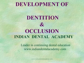 DEVELOPMENT OF
DENTITION
&
OCCLUSION
INDIAN DENTAL ACADEMY
Leader in continuing dental education
www.indiandentalacademy.com
www.indiandentalacademy.com

 