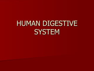 HUMAN DIGESTIVE SYSTEM 