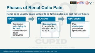 CUPID kidney and ureteric stone: understanding the pain.pdf