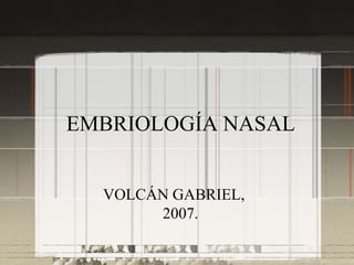 EMBRIOLOGÍA NASAL VOLCÁN GABRIEL, 2007. 