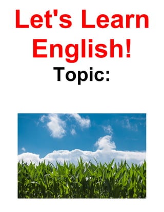 Let's Learn
English!
Topic:
 