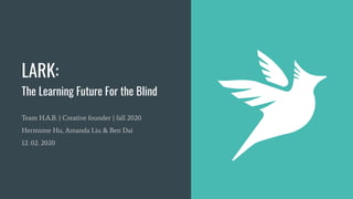 LARK:
The Learning Future For the Blind
Team H.A.B. | Creative founder | fall 2020
Hermione Hu, Amanda Liu & Ben Dai
12. 02. 2020
1
 