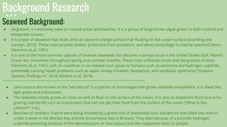 Background Research
Seaweed Background:
● Sargassum, is commonly seen on coastal areas and beaches, it is a genus of large brown algae grown in both tropical and
temperate oceans.
● It is a type of seaweed that floats and can become a large surface mat floating on the ocean surface (Gramling and
Carolyn, 2019). These mats provide shelter, protection from predators, and allow camouflage to marine species(Coston-
Clements et.al, 1991).
● It is one of the most common species of invasive seaweeds has become a serious issue in the United States Gulf, Atlantic
Ocean etc. shorelines throughout spring and summer months. These mats suffocate corals and sea grasses (Cotton-
Clements et.al, 1991). Left on coastlines it can release toxic gases to humans such as ammonia and hydrogen sulphide,
potentially causing health problems such as upper airway irritation, headaches, and vestibular syndrome (“Invasive
Species; Findings In”, 2018; Resiere et.al, 2018).
● Ulva Lactuca also known as the “sea lettuce” is a species of macroalgae that grows relatively everywhere, it is sheet like,
light green and translucent.
● The seaweed mostly grows on rocks as well as float on the surface of the ocean. It is also an important food source for
grazing marine life such as crustaceans that can not get their food from the surface of the ocean (“What is Sea
Lettuce?”, n.d.).
● Beaches of northern France were being invaded by a green tide of potentially toxic sea lettuce that killed two men in
under a week in the Morlaix Bay and the Douarnenez Bay in Brittany. They died because of a possible hydrogen
sulphide poisoning because of the decomposure of Ulva Lactuca just like sargassum does to people.
 