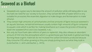 Seaweed as a Biofuel
● Seaweeds are a great way to decrease the amount of pollution while still being able to use
the fuels we need for our society to function. they contain 85-90% of water which is very
suitable for processes like anaerobic digestion to make biogas and fermentation to make
ethanol.
● They contain high amounts of carbohydrates and low amounts of lignin because seaweed is
an aquatic biomass, terrestrial biomasses usually contain high amounts of lignin compared
to aquatic ones which is perfect for making bioethanol as it eases the process of breaking
down the seaweed (Pros and Cons Seaweed, n.d.).
● Not only do Fossil fuels take millions of years to replenish, they also release an abundant
amount of CO2 into the atmosphere which is a greenhouse gas that leads to global warming.
Burning these organic materials do not increase the carbon emissions produced because
they consume CO2 when growing so they are simply putting back out what they took in
(Luterbacher, C. and Luterbacher, J., 2015).
 