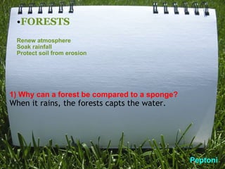 FORESTS Renew atmosphere Soak rainfall Protect soil from erosion 1) Why can a forest be compared to a sponge? When it rains, the forests capts the water. Peptoni 