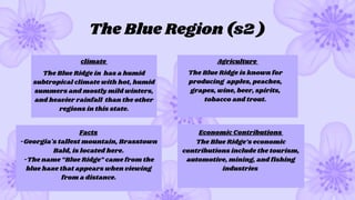 The Blue Region (s2 )
Facts
climate Agriculture
Economic Contributions
The Blue Ridge in has a humid
subtropical climate with hot, humid
summers and mostly mild winters,
and heavier rainfall than the other
regions in this state.
The Blue Ridge is known for
producing apples, peaches,
grapes, wine, beer, spirits,
tobacco and trout.
-Georgia's tallest mountain, Brasstown
Bald, is located here.
-The name “Blue Ridge” came from the
blue haze that appears when viewing
from a distance.
The Blue Ridge’s economic
contributions include the tourism,
automotive, mining, and fishing
industries
 
