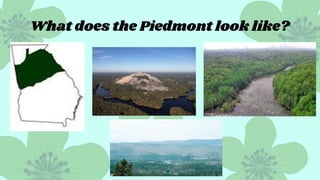 What does the Piedmont look like?
 
