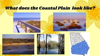 What does the Coastal Plain look like?
 