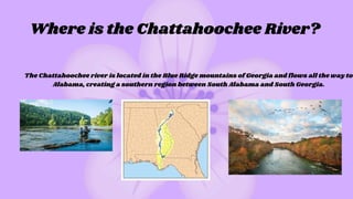 Where is the Chattahoochee River?
The Chattahoochee river is located in the Blue Ridge mountains of Georgia and flows all the way to
Alabama, creating a southern region between South Alabama and South Georgia.
 