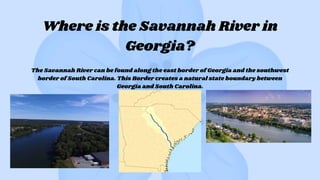 Where is the Savannah River in
Georgia?
The Savannah River can be found along the east border of Georgia and the southwest
border of South Carolina. This Border creates a natural state boundary between
Georgia and South Carolina.
 