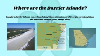 Where are the Barrier Islands?
Georgia’s Barrier Islands can be found along the southeast coast of Georgia, stretching from
the Savannah River to the St. Marys River
 