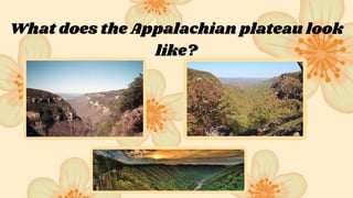 What does the Appalachian plateau look
like?
 
