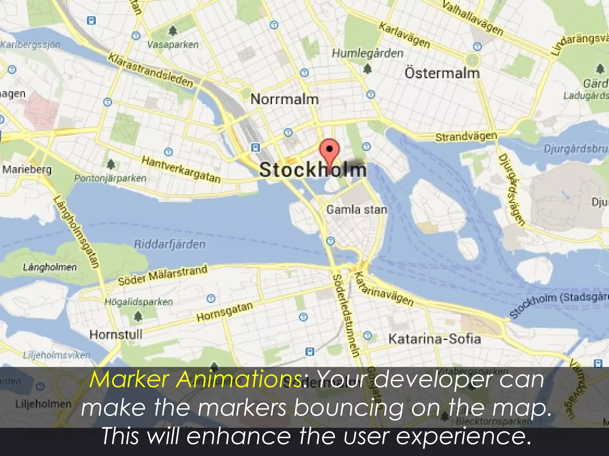 Marker Animations: Your developer can
make the markers bouncing on the map.
This will enhance the user experience.
 