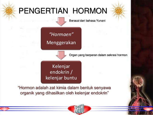 Sistem Hormon