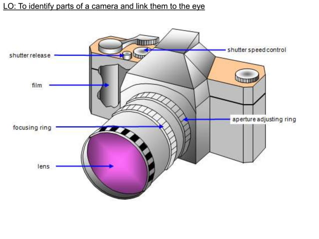 Copy of L5 - The Eye and the Camera (1).ppt
