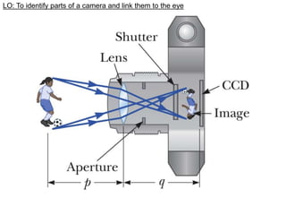Copy of L5 - The Eye and the Camera (1).ppt