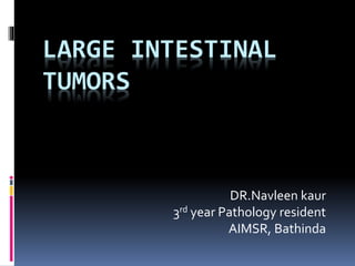 LARGE INTESTINAL
TUMORS
DR.Navleen kaur
3rd year Pathology resident
AIMSR, Bathinda
 
