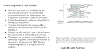 Contiguous Alignment Manal- sequencing presentation-biotechpresentation-.pptx