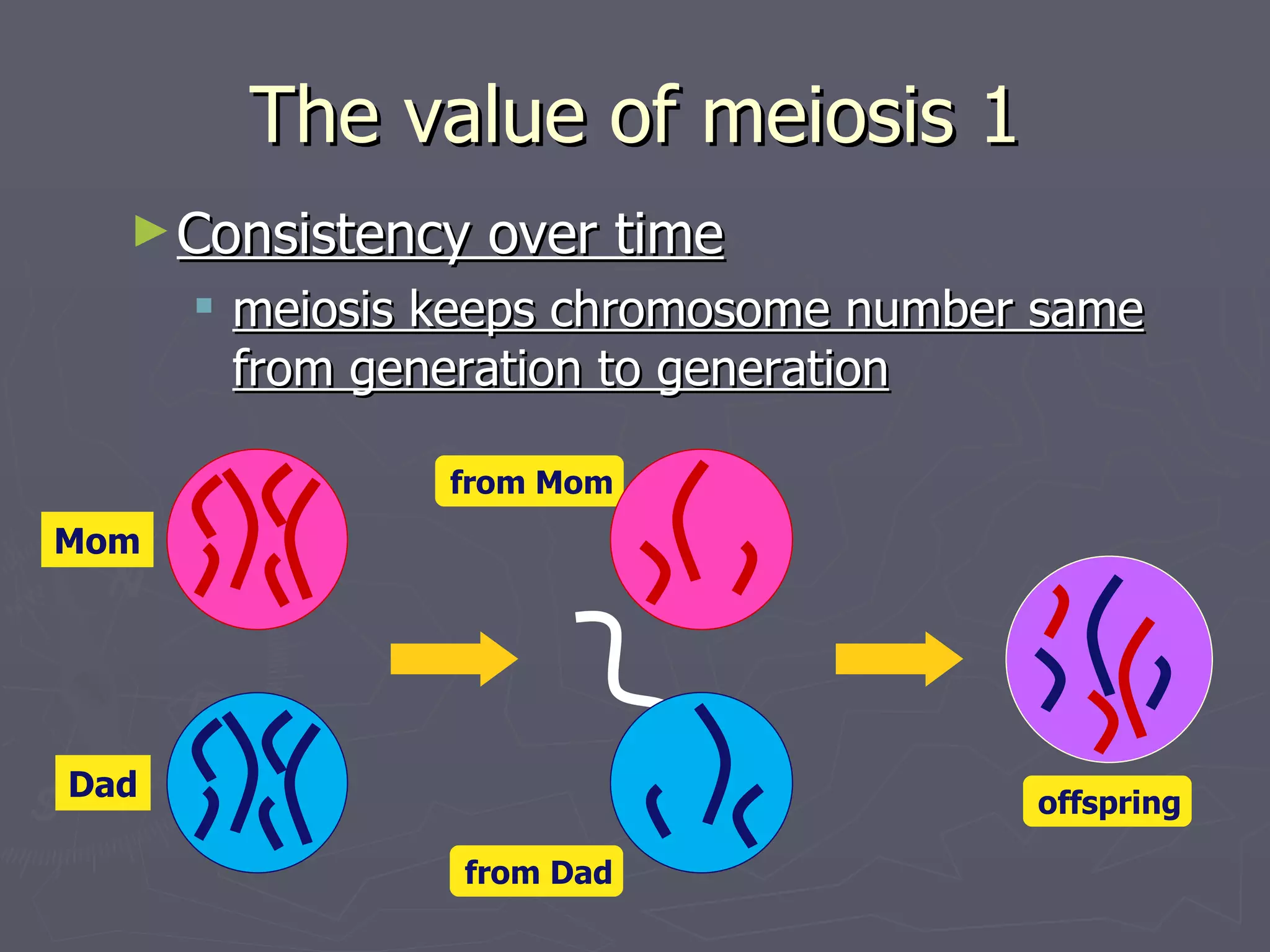The value of meiosis 1
  ► Consistency   over time
       meiosis keeps chromosome number same
        from generation to generation

                from Mom
Mom




Dad                                    offspring

                from Dad
 