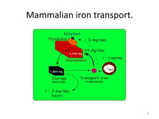Metal ion transport and storage | PPTX