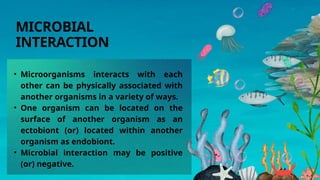 • Microorganisms interacts with each
other can be physically associated with
another organisms in a variety of ways.
• One organism can be located on the
surface of another organism as an
ectobiont (or) located within another
organism as endobiont.
• Microbial interaction may be positive
(or) negative.
MICROBIAL
INTERACTION
 