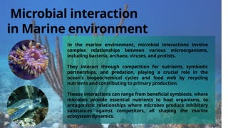 In the marine environment, microbial interactions involve
complex relationships between various microorganisms,
including bacteria, archaea, viruses, and protists.
They interact through competition for nutrients, symbiotic
partnerships, and predation, playing a crucial role in the
ocean's biogeochemical cycles and food web by recycling
nutrients and contributing to primary production.
Theese interactions can range from beneficial symbiosis, where
microbes provide essential nutrients to host organisms, to
antagonistic relationships where microbes produce inhibitory
substances against competitors, all shaping the marine
ecosystem dynamics.
Microbial interaction
in Marine environment
 