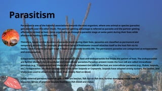 Parasitism is one of the harmful associations towards the host organism, where one animal or species (parasite)
gets benefit over the other (host). The partner getting advantage is referred as parasite and the partner getting
affected is termed as host. Some organisms go through a parasitic stage at some point during their lives while
afterwards leading a different life.
Therefore, based on the duration of parasitic mode during their lives, parasites are classified as permanent and
temporary parasites. For example, glochidium larva of freshwater mussel attaches itself to the host fish via its
hooks, once it attains younger stage it leads a permanent benthic-life. The permanent parasites are categorized as ectoparasites
and endoparasites.
Ectoparasites are those which live on the outside of the host and endoparasites live inside the system of host. The endoparasites
are further divided into intracellular and intercellular parasites.Parasites present inside the host cell are called intracellular
parasites (e.g., Trypanosoma) and those which live In between the cells of the host are intercellular parasites (e.g., flukes, isopods,
etc.). Ectoparasites are often cirustaceans in the order Isopoda or Copepoda. Isopods have adapted strong suckers, flat bodies, and
sharp jaws used to attach to their host, they mostly feed on blood.
Other external parasites found on gills of fish are leeches, fish lice on fish skin, further damaging tissue and, in
seawater, larvae of gnathiid isopods feeding on fish blood and tissue.
Parasitism
 