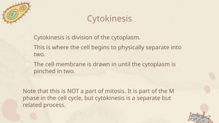 Cytokinesis
● Cytokinesis is division of the cytoplasm.
● This is where the cell begins to physically separate into
two.
● The cell membrane is drawn in until the cytoplasm is
pinched in two.
Note that this is NOT a part of mitosis. It is part of the M
phase in the cell cycle, but cytokinesis is a separate but
related process.
 