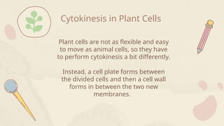 Cytokinesis in Plant Cells
Plant cells are not as flexible and easy
to move as animal cells, so they have
to perform cytokinesis a bit differently.
Instead, a cell plate forms between
the divided cells and then a cell wall
forms in between the two new
membranes.
 