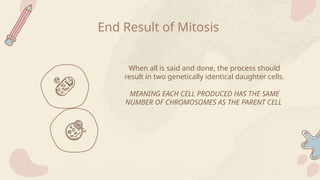 When all is said and done, the process should
result in two genetically identical daughter cells.
MEANING EACH CELL PRODUCED HAS THE SAME
NUMBER OF CHROMOSOMES AS THE PARENT CELL
End Result of Mitosis
 