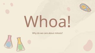 Whoa!
Why do we care about mitosis?
 
