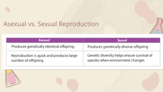 Asexual vs. Sexual Reproduction
 