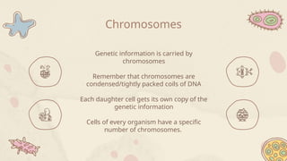 Chromosomes
Genetic information is carried by
chromosomes
Remember that chromosomes are
condensed/tightly packed coils of DNA
Each daughter cell gets its own copy of the
genetic information
Cells of every organism have a specific
number of chromosomes.
 