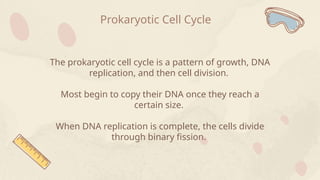 Prokaryotic Cell Cycle
The prokaryotic cell cycle is a pattern of growth, DNA
replication, and then cell division.
Most begin to copy their DNA once they reach a
certain size.
When DNA replication is complete, the cells divide
through binary fission.
 