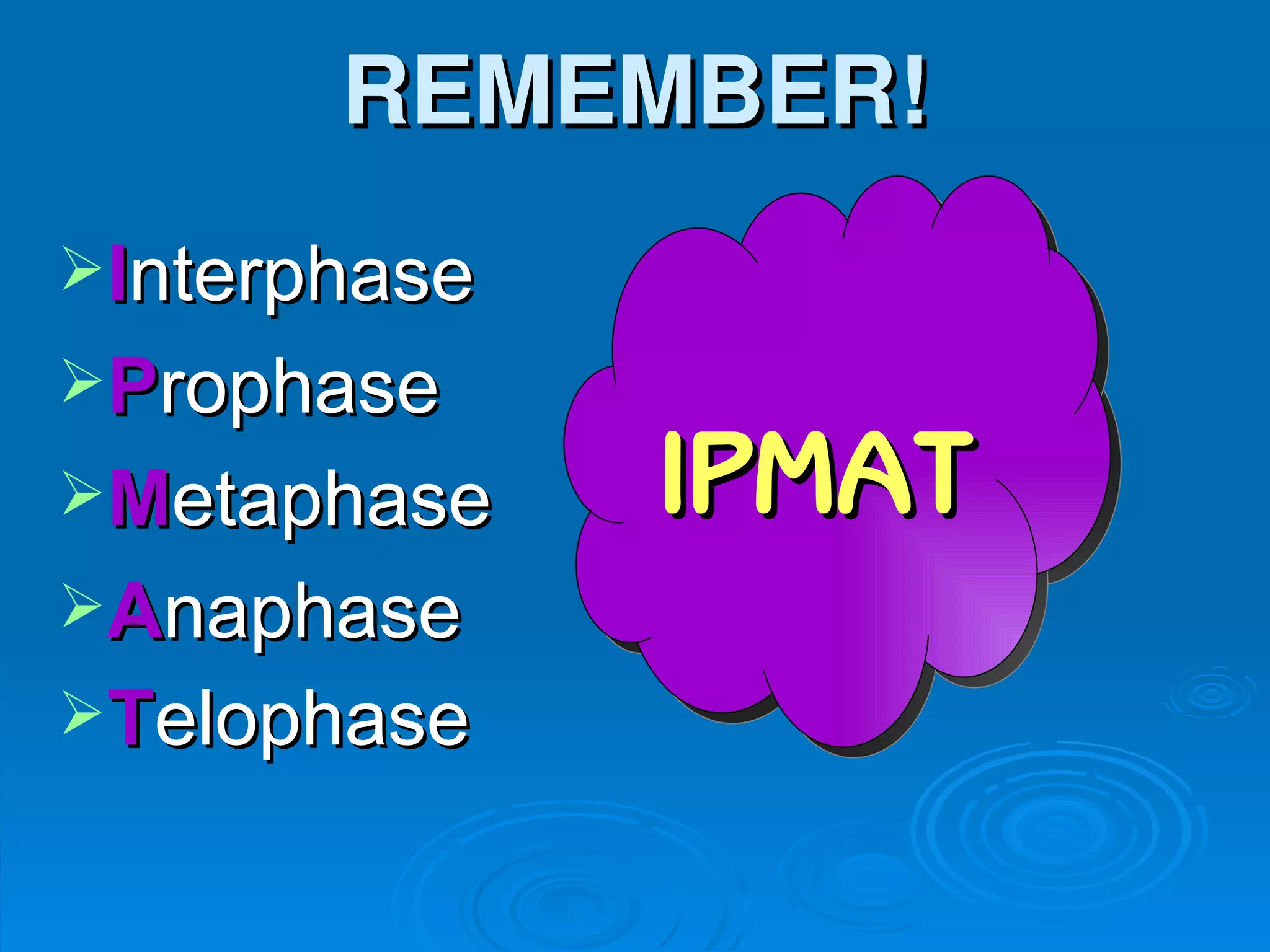 REMEMBER!
Interphase
Prophase
Metaphase    IPMAT
Anaphase
Telophase
 